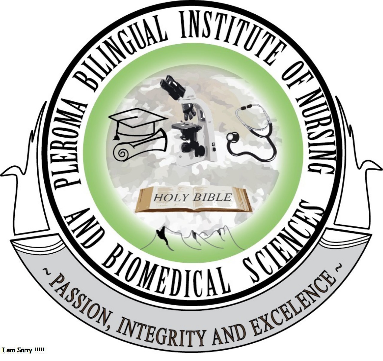 pleromauniversity.com